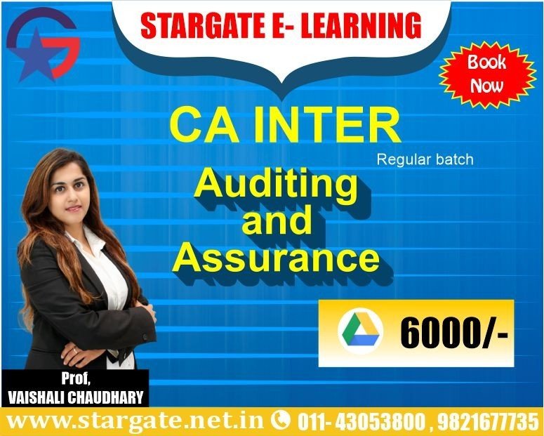 CA INTER AUDITING AND ASSURANCE GOOGLE DRIVE